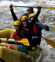 MEL_7000mel copy 2